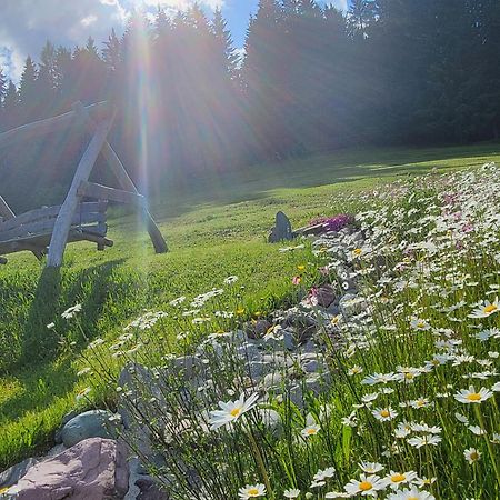 Ferienhof Obertenn Hochfilzen Esterno foto
