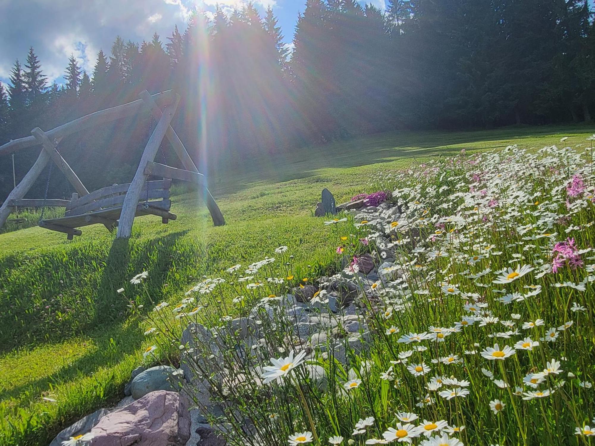 Ferienhof Obertenn Hochfilzen Esterno foto