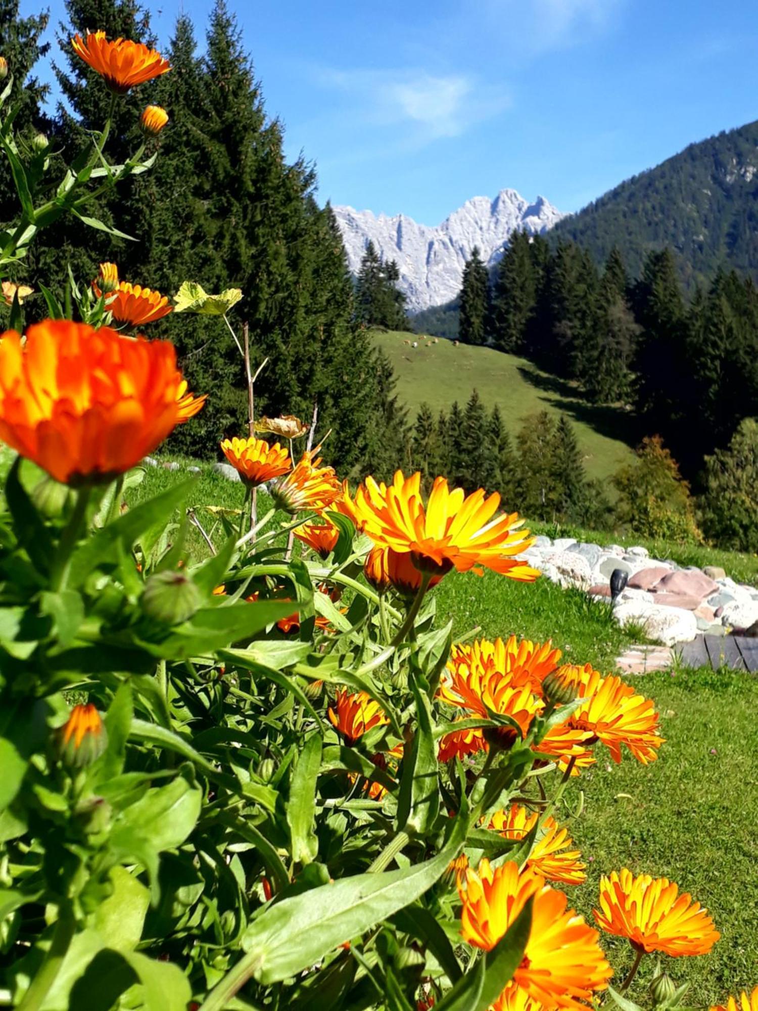 Ferienhof Obertenn Hochfilzen Esterno foto