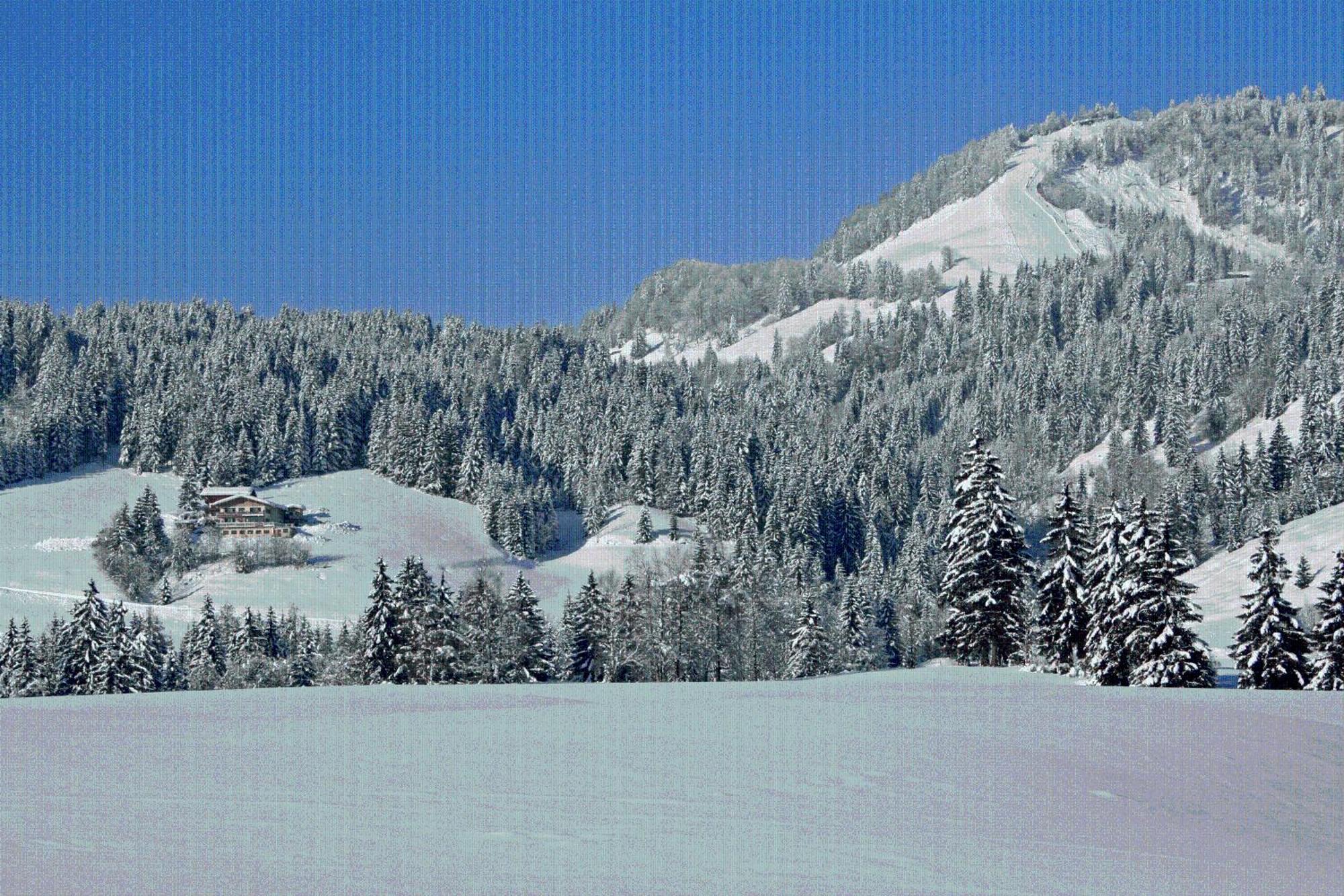 Ferienhof Obertenn Hochfilzen Esterno foto